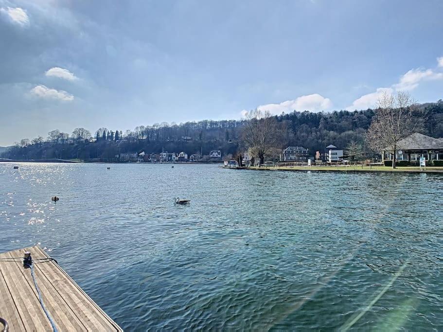 Vue Sur Meuse Avec Jacuzzi Et Sauna Exterieur. Yvoir Экстерьер фото