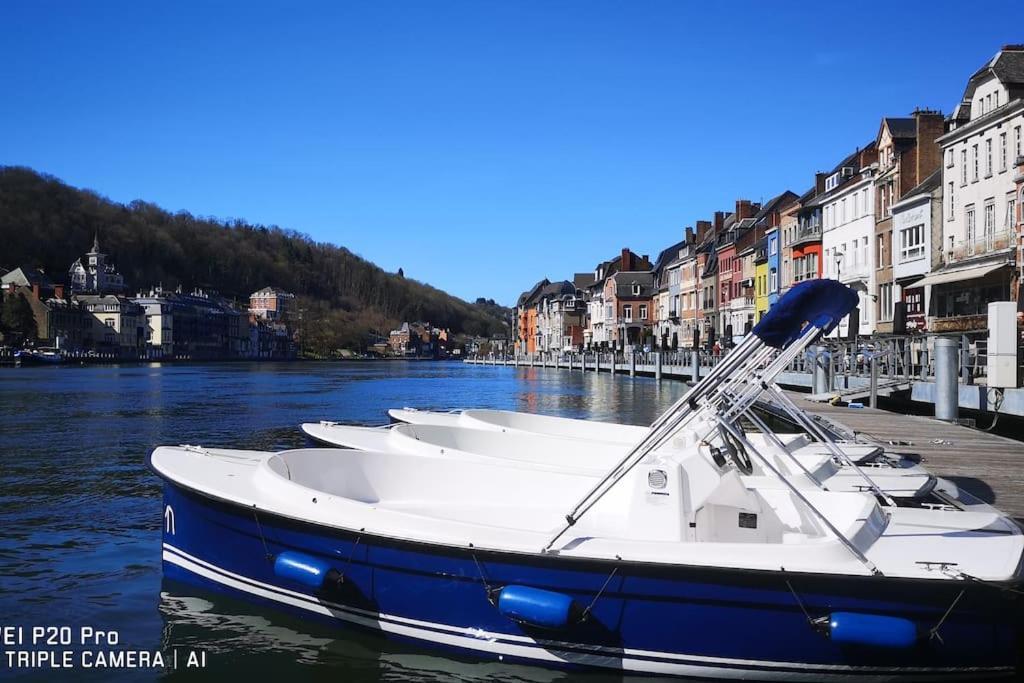 Vue Sur Meuse Avec Jacuzzi Et Sauna Exterieur. Yvoir Экстерьер фото