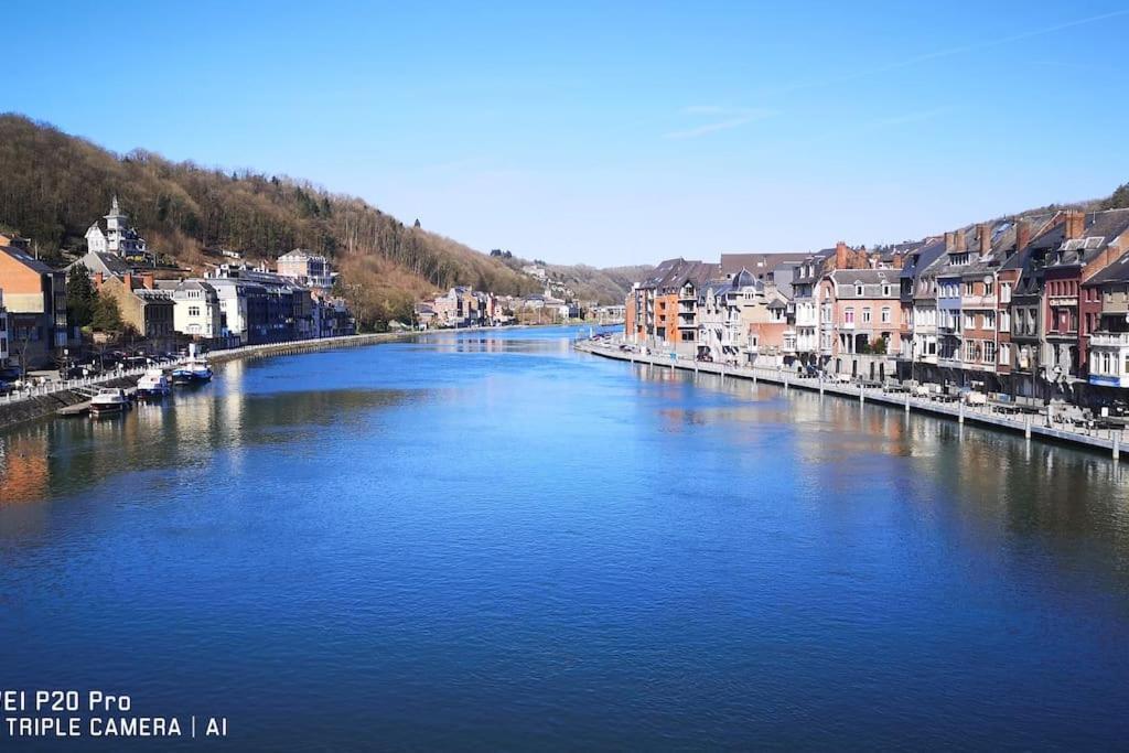 Vue Sur Meuse Avec Jacuzzi Et Sauna Exterieur. Yvoir Экстерьер фото